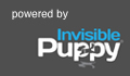 Invisible Puppy Online Strategy & Marketing Agency